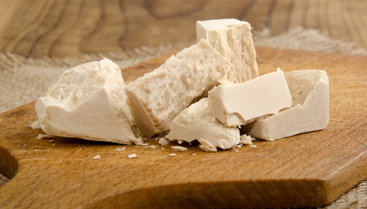 Lievito di birra fresco