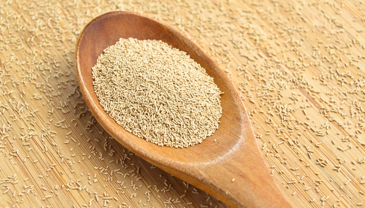 Lievito di birra secco